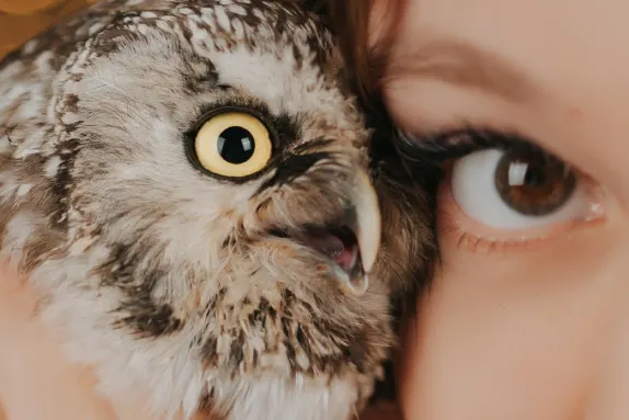 Казино МР Форчън Поддръжка